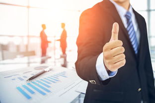 個(gè)體戶賬務(wù)處理指南 代理記賬流程與商務(wù)代辦服務(wù)詳解